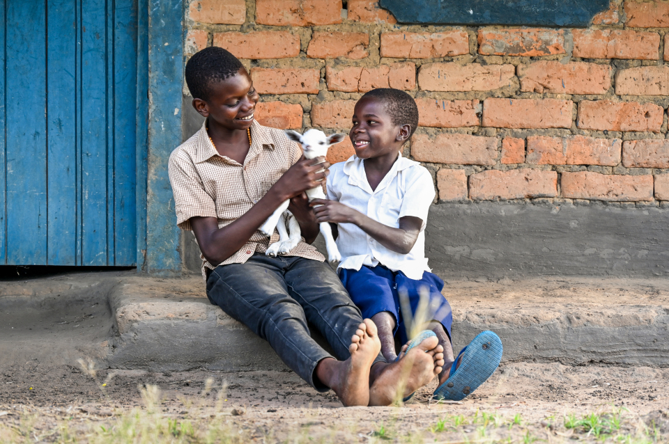 Two smiling boys looking at a small goat sitting between them