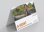 Goats have helped Sonali’s family in Bangladesh earn a good income and turn their lives around.