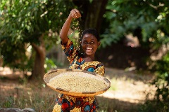 Mazaa, a participant in the Drylands Development Programme, proudly shows off growing
seedlings in her community nursery in Kenya.