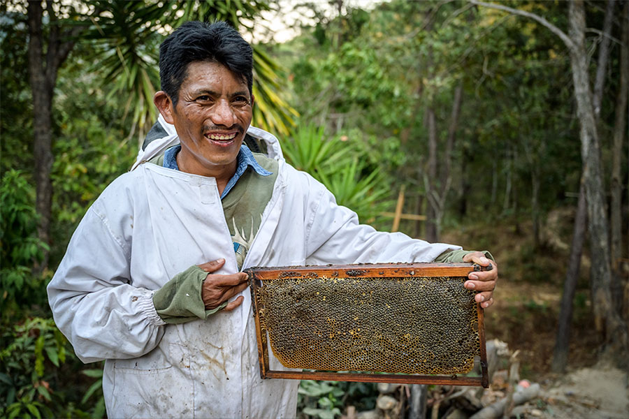 Train a beekeeper