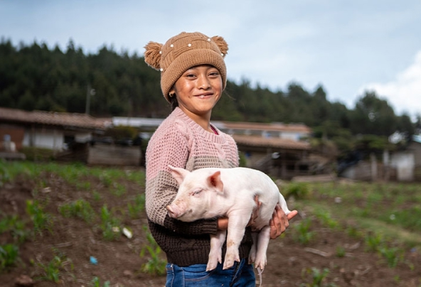 World Vision gift of a piglet